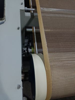 Đường dây sản xuất sấy nước dựa trên vi sóng Servo Motor