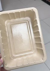 Dây chuyền tráng phủ quay bên trong cho sản phẩm đúc bột giấy - Hệ thống tráng phủ chính xác hoàn toàn tự động