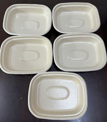 Máy phủ quay để bàn cho khuôn bột giấy R&D – Lớp phủ chính xác và thu thập dữ liệu cho các mẫu phòng thí nghiệm