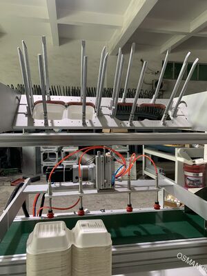 Máy in một bước tự động cho đúc bột - Giải pháp tải và in tích hợp