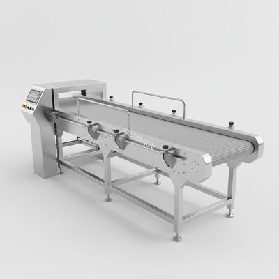 Stainless Steel Continuous Conveyor System for Smooth and Transport with Function