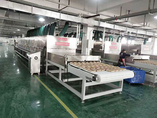 Máy sấy vi sóng đường hầm liên tục với công suất tùy chỉnh (12-200kW) và điều khiển PLC để sấy nhanh (4-20 lần nhanh hơn)